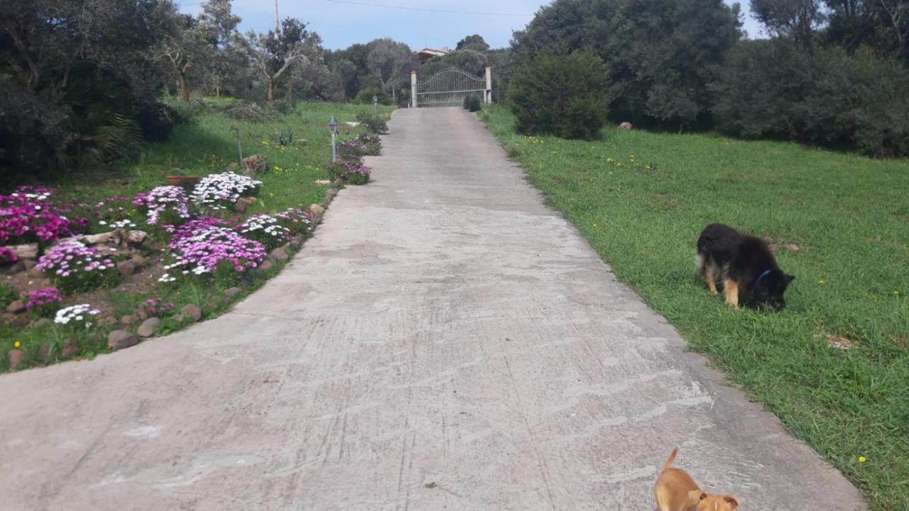 La_Casa_Di_ Willy Villa Canai Dış mekan fotoğraf